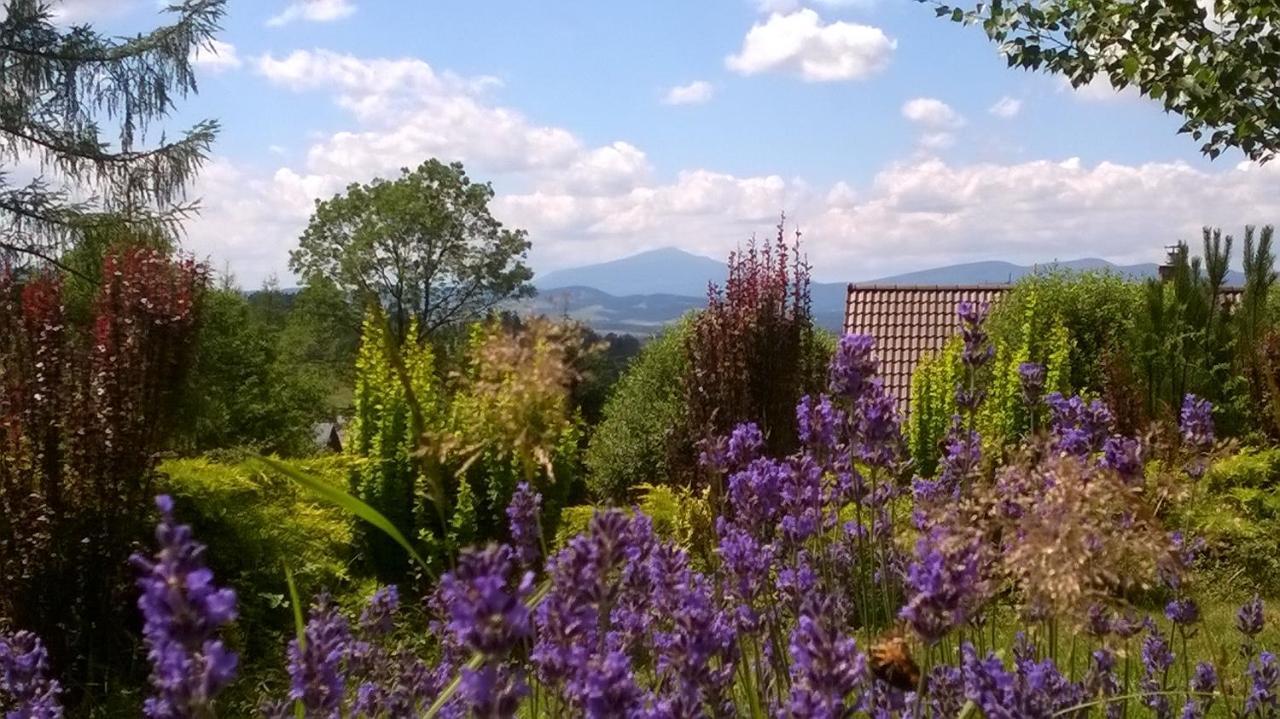 Villa Gorczanska Rabka Exteriör bild